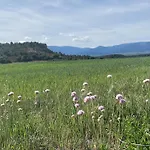 La Casa De Mis Padres 別荘 Arahuetes