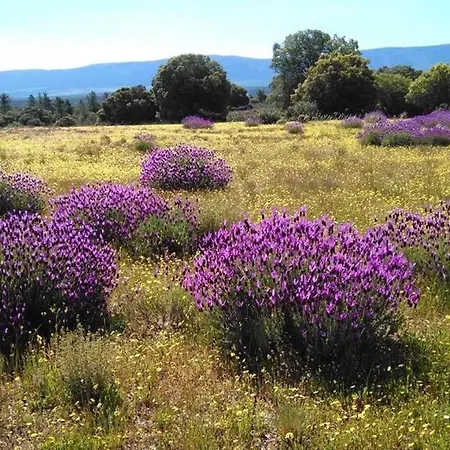 Casa vacanze La Casa De Mis Padres Arahuetes