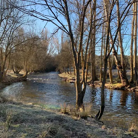 La Casa De Mis Padres *
