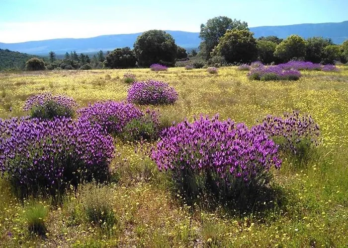 펜션 La Casa De Mis Padres Arahuetes