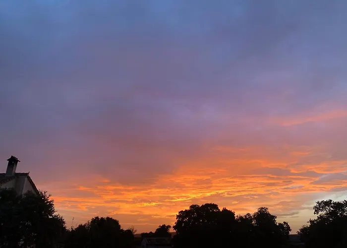 La Casa De Mis Padres