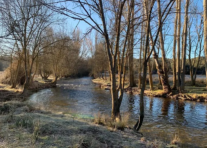 La Casa De Mis Padres *