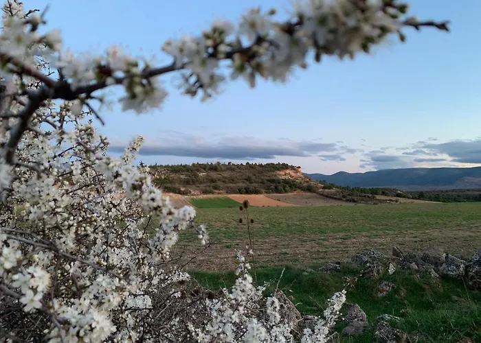 La Casa De Mis Padres * Arahuetes