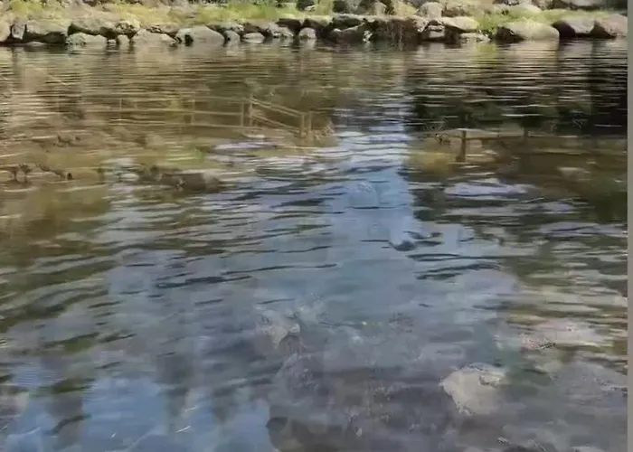 La Casa De Mis Padres 펜션