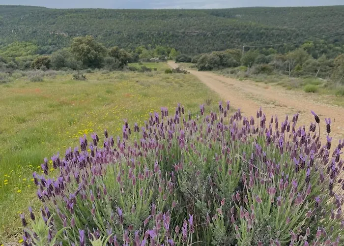 펜션 La Casa De Mis Padres